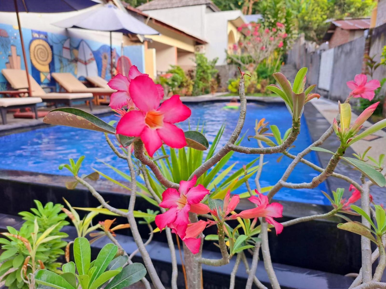 Family Garden Homestay Senggigi Exterior foto